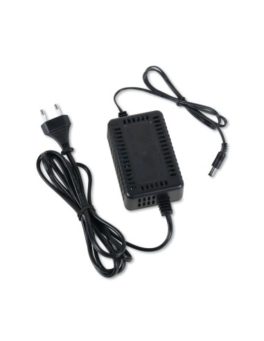 Avviatore portatile ultraleggero ad alte prestazioni 12-24 V