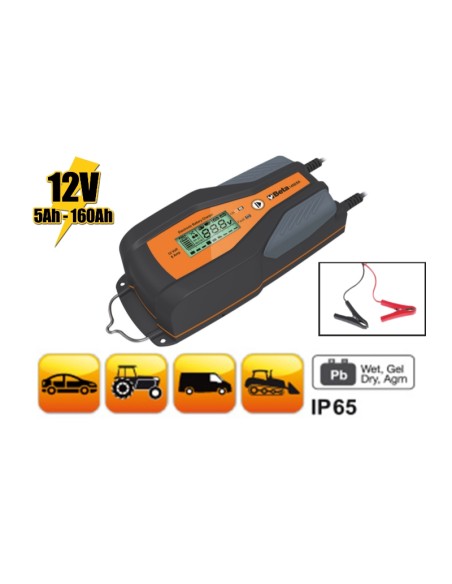 Caricabatterie elettronico 12V auto-veicoli commerciali