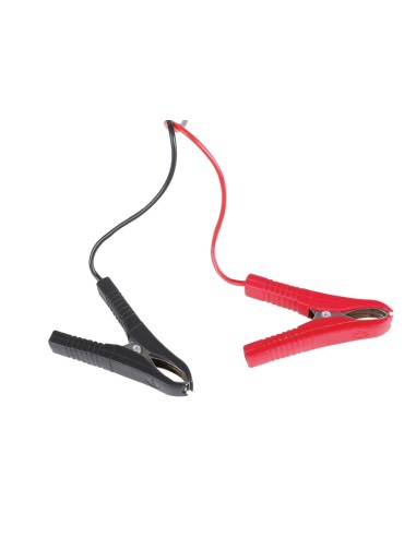 Caricabatterie elettronico 12V auto-veicoli commerciali