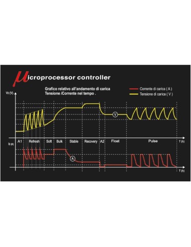 Caricabatterie elettronico 12V auto-veicoli commerciali