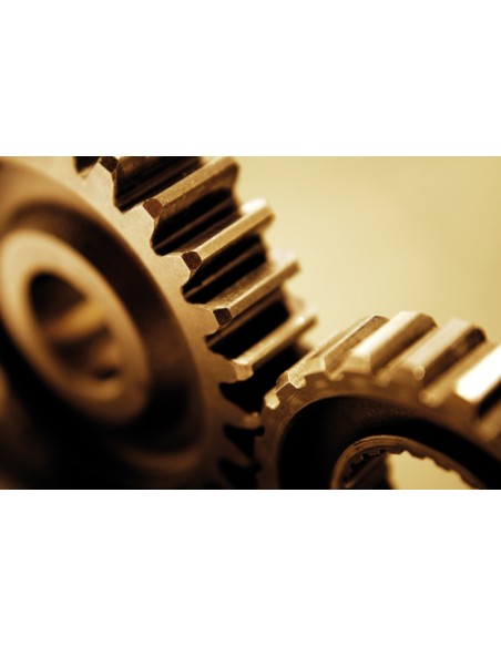 Grasso lubrificante spray multiuso Grasso lubrificante spray multiuso