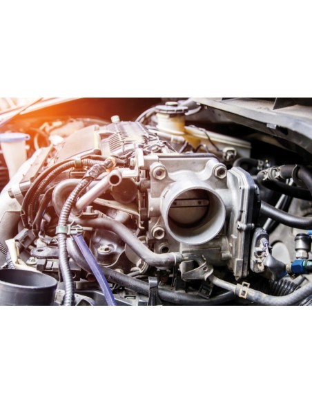 Pulitore per carburatori e corpi farfallati. Pulitore per carburatori e corpi farfallati.