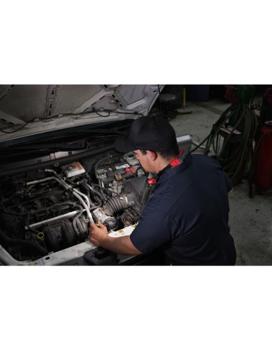 TORCIA DA COLLO RIC. L4NL400