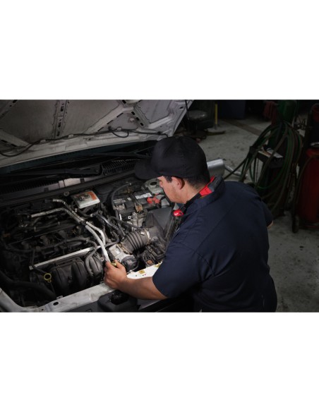 TORCIA DA COLLO RIC. L4NL400