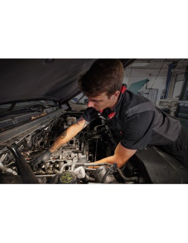 TORCIA DA COLLO RIC. L4NL400