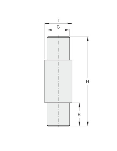 PERNO SUP.X CARDINE F.B.18 MA TUB. 30X3