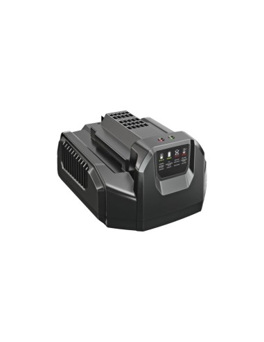 CARICABATTERIA EGO STANDARD