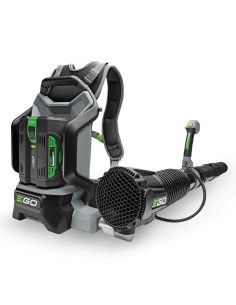 KIT SOFFIATORE A ZAINO 56V 1X10AH 2