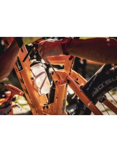 Chiavi maschio piegate con impugnatura per viti con impronta Torx® cromate 2